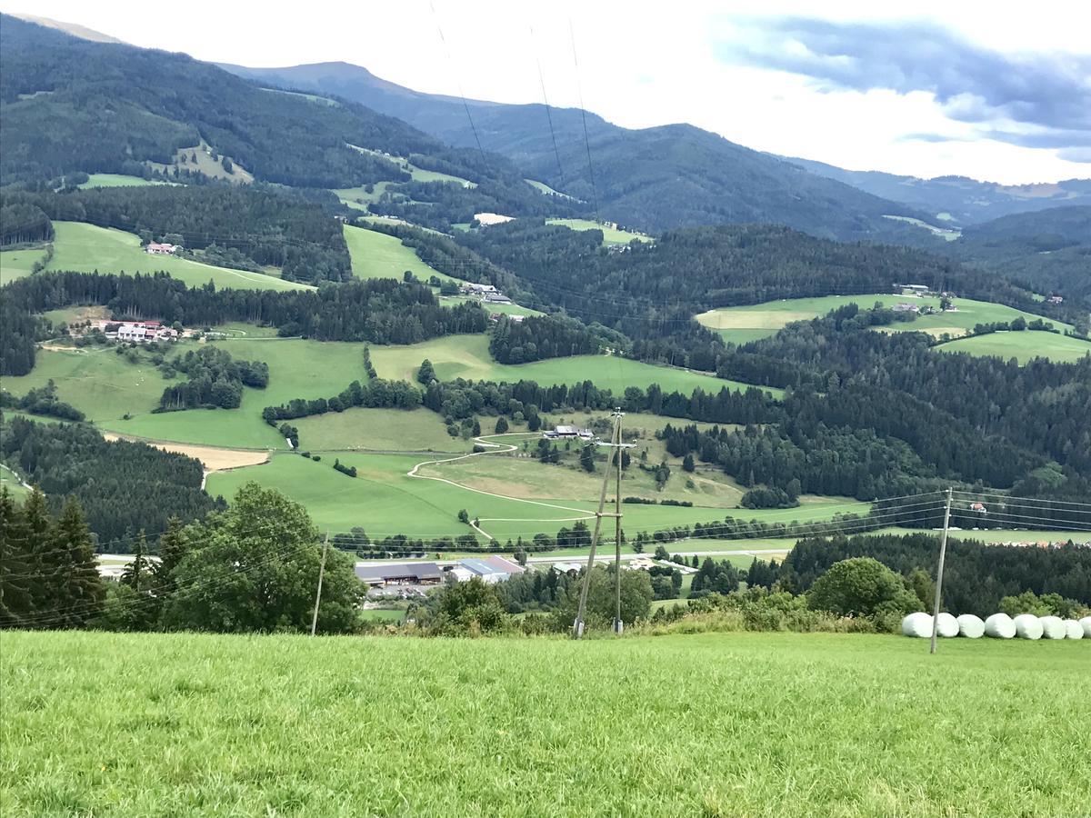 Ferienwohnung - Apartement - Hotel Klippitz Nordost Reichenfels Exterior foto